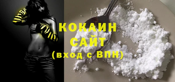 соль ск Алексин
