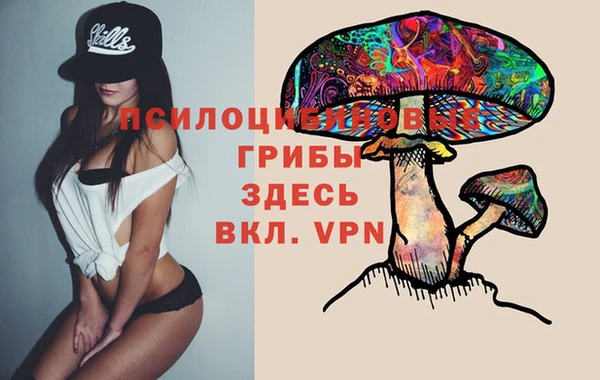 PSILOCYBIN Арсеньев