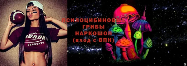 PSILOCYBIN Арсеньев